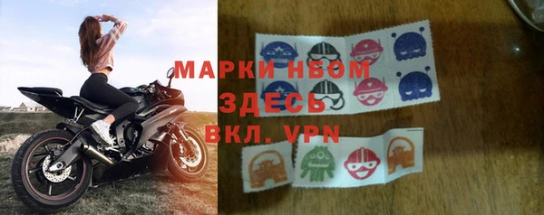 хмурый Аркадак