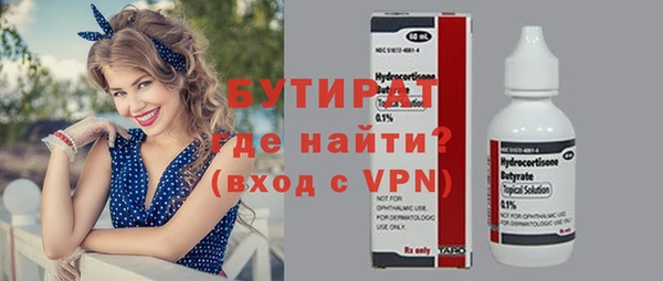 хмурый Аркадак