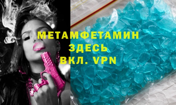 хмурый Аркадак