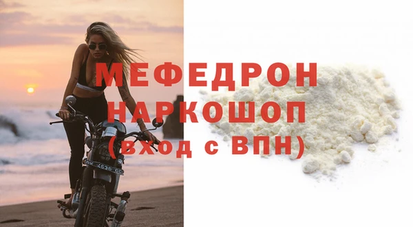 хмурый Аркадак