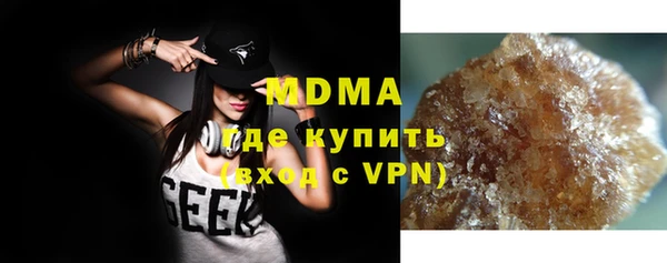 хмурый Аркадак