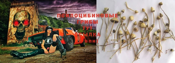 jwh Армянск