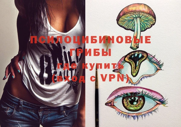 хмурый Аркадак