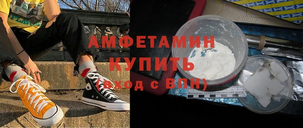 хмурый Аркадак