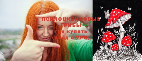 бошки Арсеньев