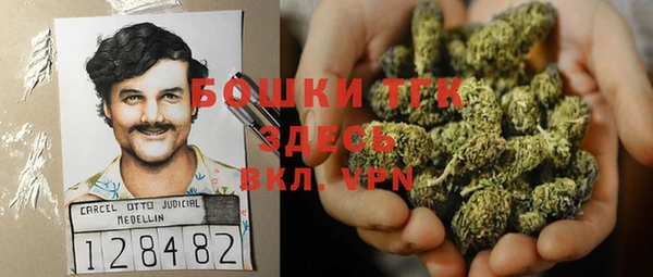 хмурый Аркадак