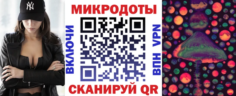 Галлюциногенные грибы Psilocybine cubensis  Заозёрск 